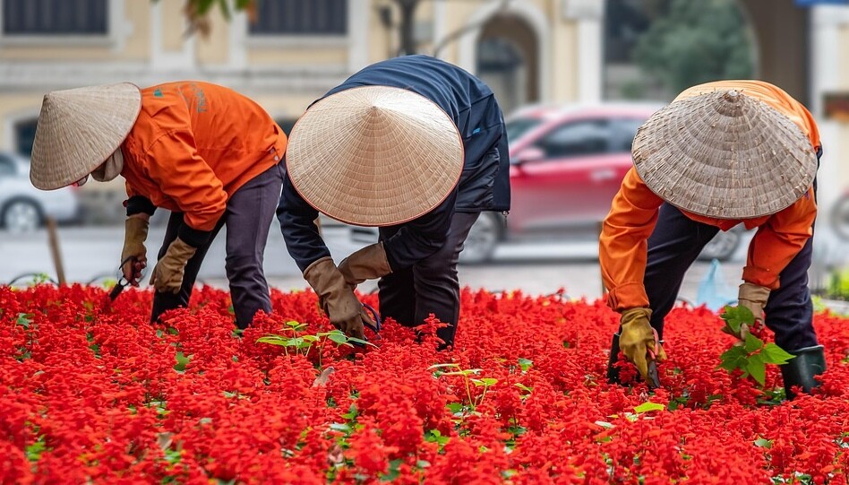 Je vous souhaite une joyeuse fête du Travail !